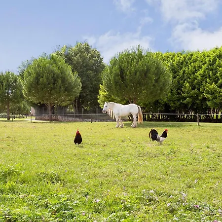 Сasa de vacaciones Gorgeous In With Heated Swimming Pool *