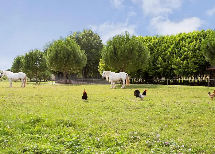 Сasa de vacaciones Gorgeous In With Heated Swimming Pool *